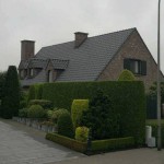 Dakwerken Dilbeek